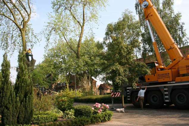 bomen velen